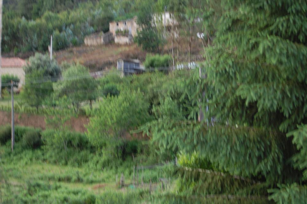  en venta finca rústica Pena Betanzos 11
