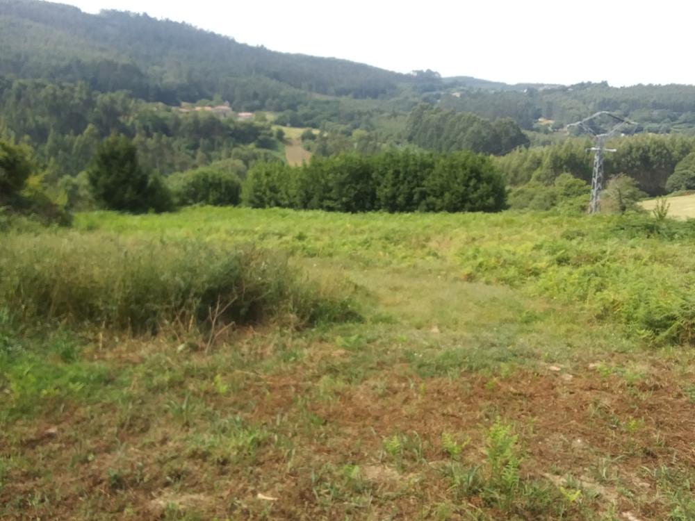  en venta finca rústica Pena Betanzos 61