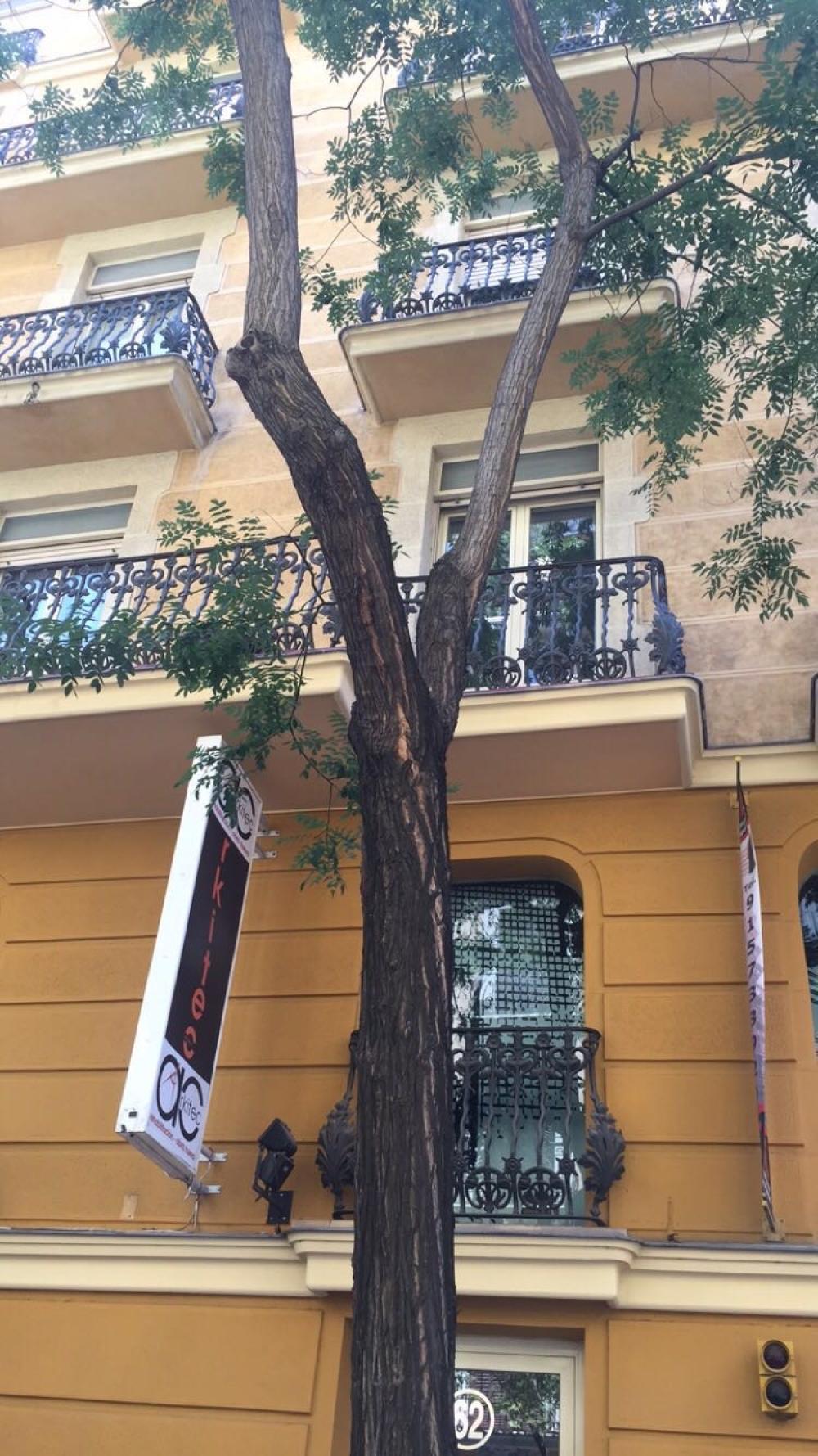  en venta estudio Salamanca-Recoletos Madrid Capital 2