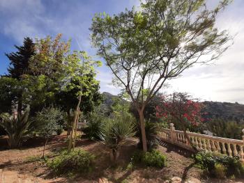 Málaga Este 29018 Málaga-Costa Del Sol casa foto 5004031