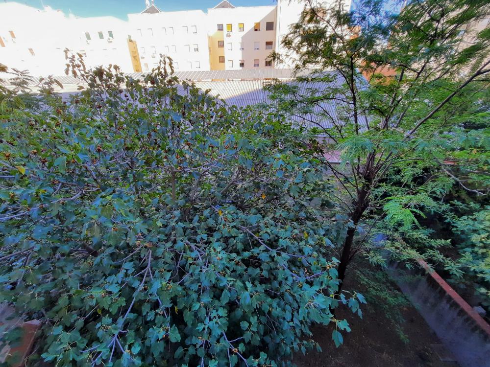  en venta apartamento Salamanca-Fuente Del Berro Madrid Capital 5