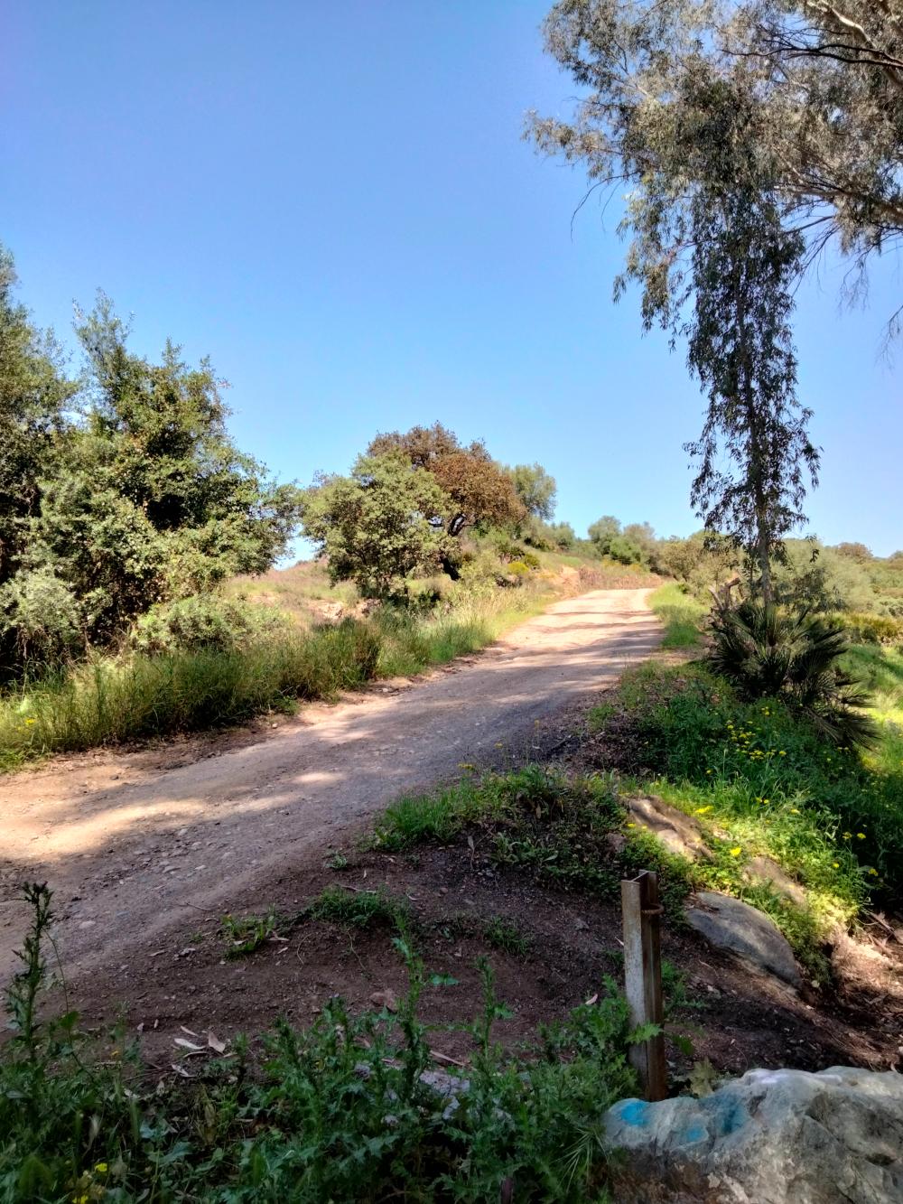  en venta local Villanueva Del Río Y Minas Vega Del Guadalquivir 14