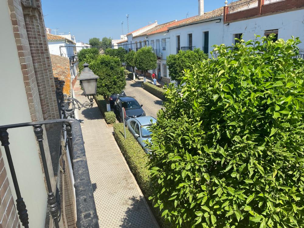  en venta casa El Pedroso Sierra Norte 25
