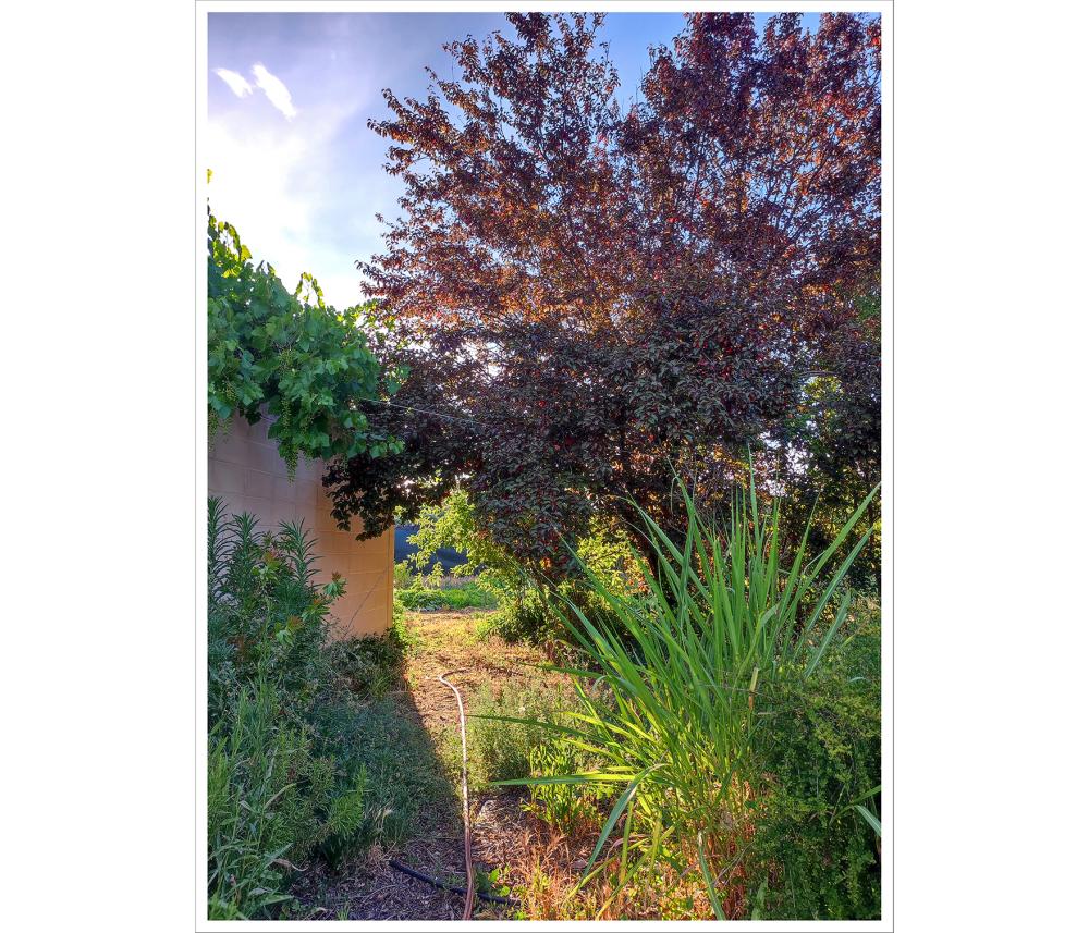  en venta casa Valdetorres De Jarama Cuenca Del Medio Jarama 18