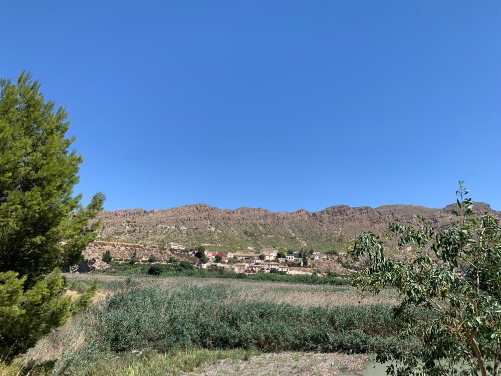  en venta finca rústica Blanca Vega Alta Del Segura 12
