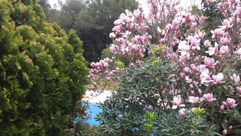  en venta chalet Santa Eulàlia De Ronçana Vallès Oriental 8