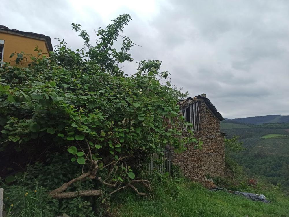  en venta finca rústica Conforto Mariña Oriental 36