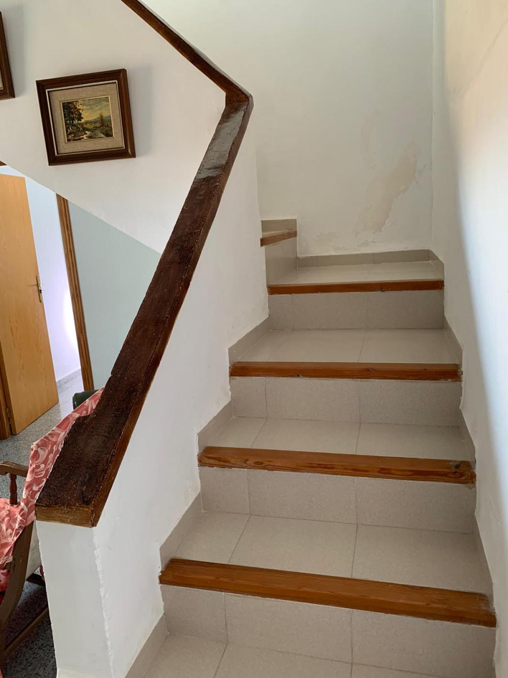  en venta finca rústica Blanca Vega Alta Del Segura 16