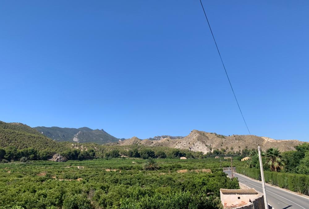  en venta finca rústica Blanca Vega Alta Del Segura 25