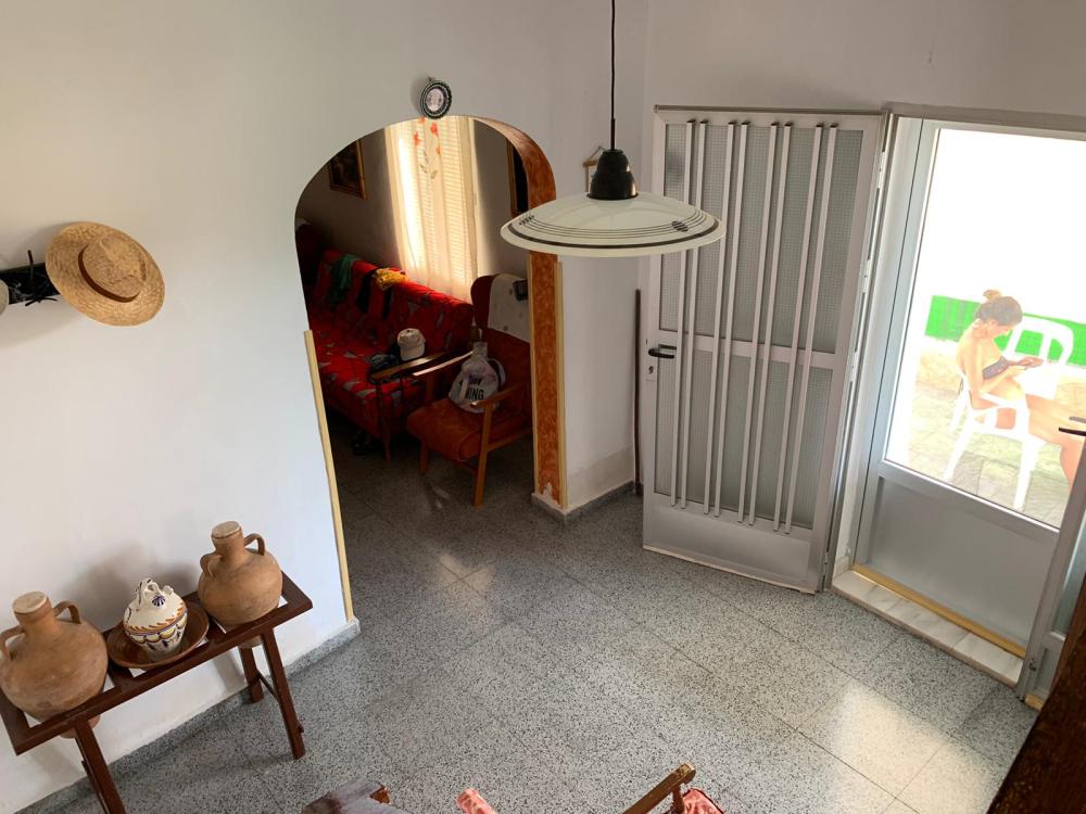  en venta finca rústica Blanca Vega Alta Del Segura 2