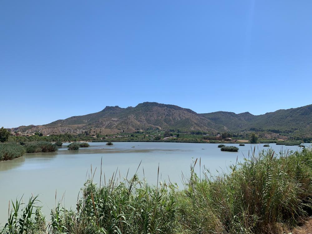  en venta finca rústica Blanca Vega Alta Del Segura 10