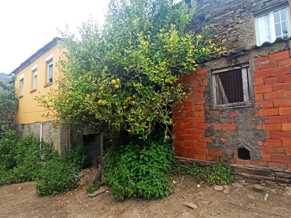  en venta finca rústica Conforto Mariña Oriental 30