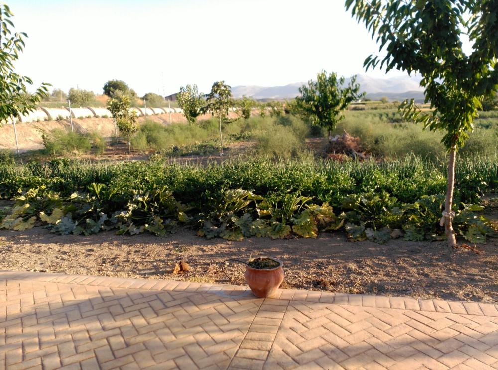  en venta casa Huétor-Tájar Loja 11