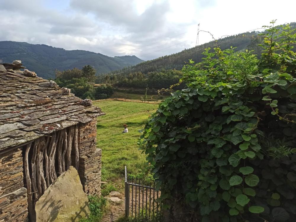  en venta finca rústica Conforto Mariña Oriental 27