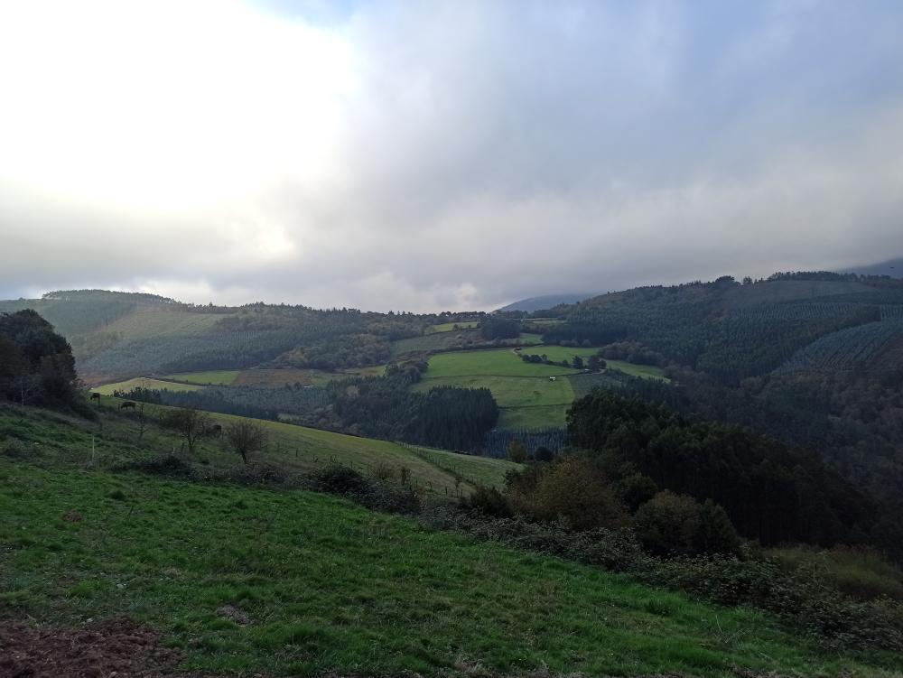  en venta finca rústica Conforto Mariña Oriental 26