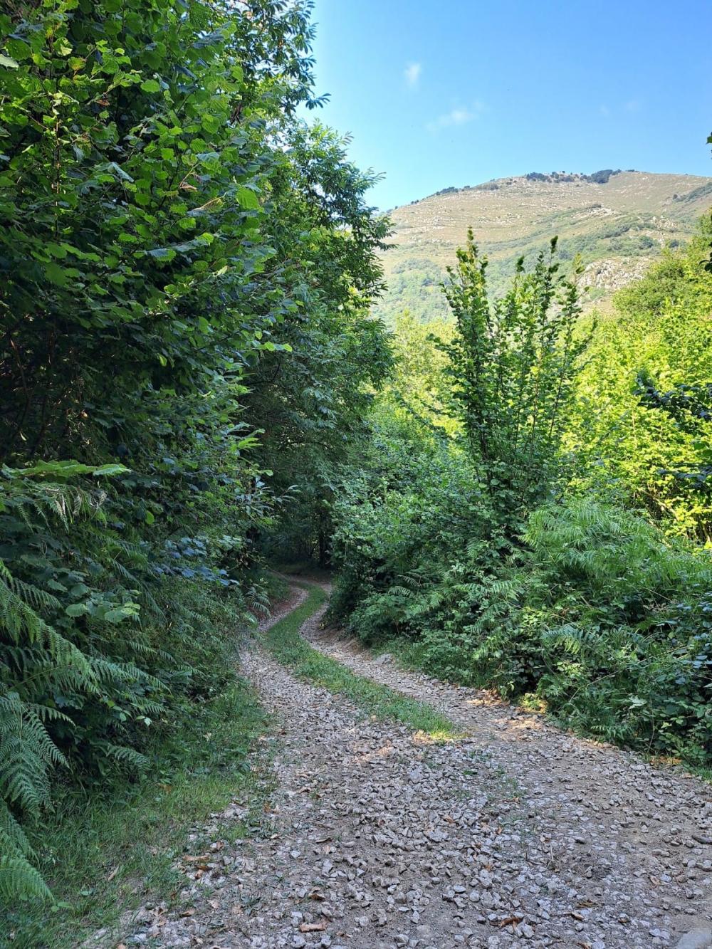 en venta finca rústica Campo De Caso Nalón 19