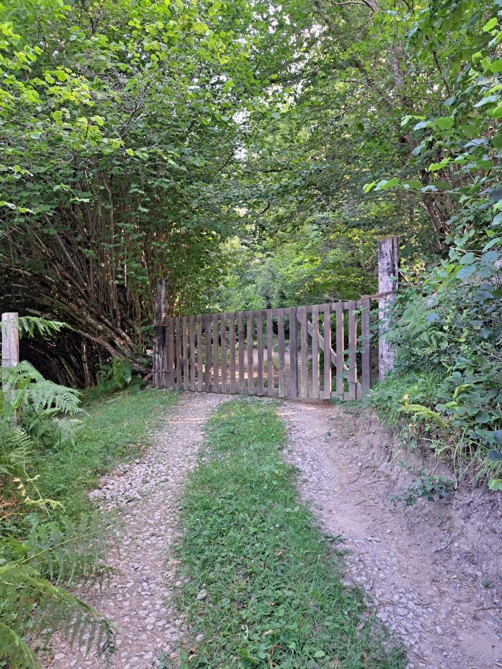  en venta finca rústica Campo De Caso Nalón 46