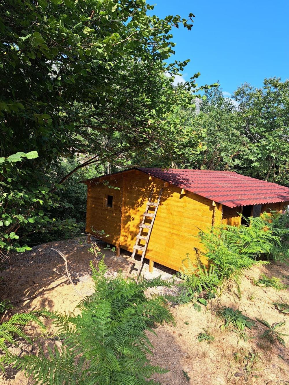 en venta finca rústica Campo De Caso Nalón 52