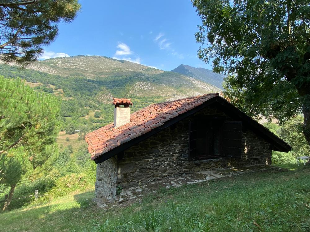  en venta finca rústica Campo De Caso Nalón 80
