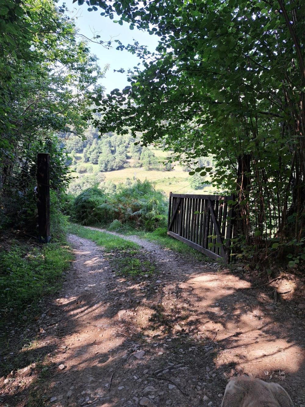  en venta finca rústica Campo De Caso Nalón 26