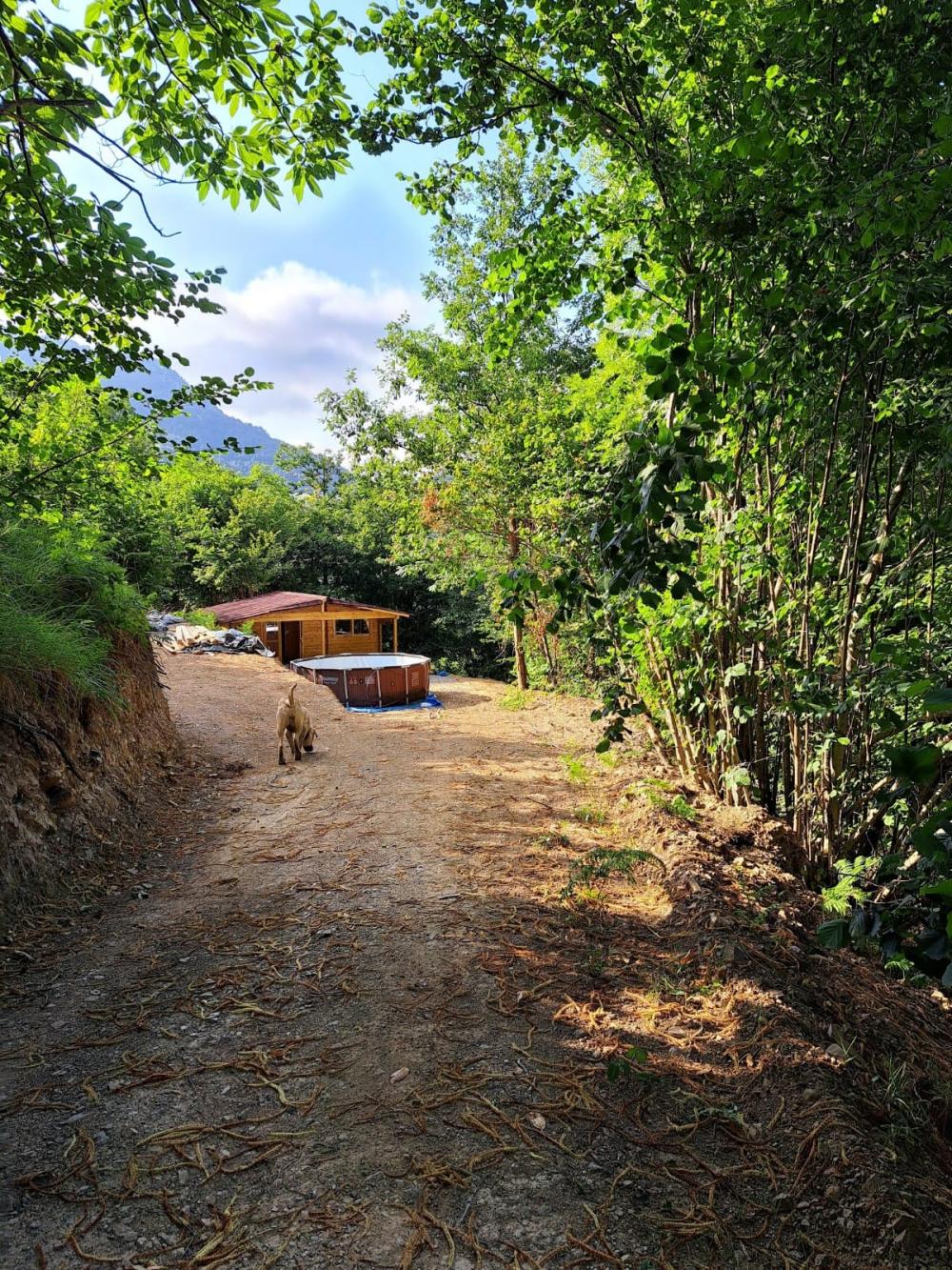  en venta finca rústica Campo De Caso Nalón 49