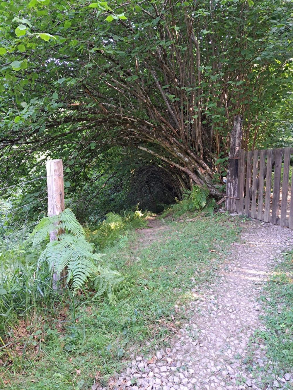  en venta finca rústica Campo De Caso Nalón 47