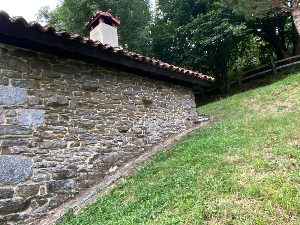  en venta finca rústica Campo De Caso Nalón 85