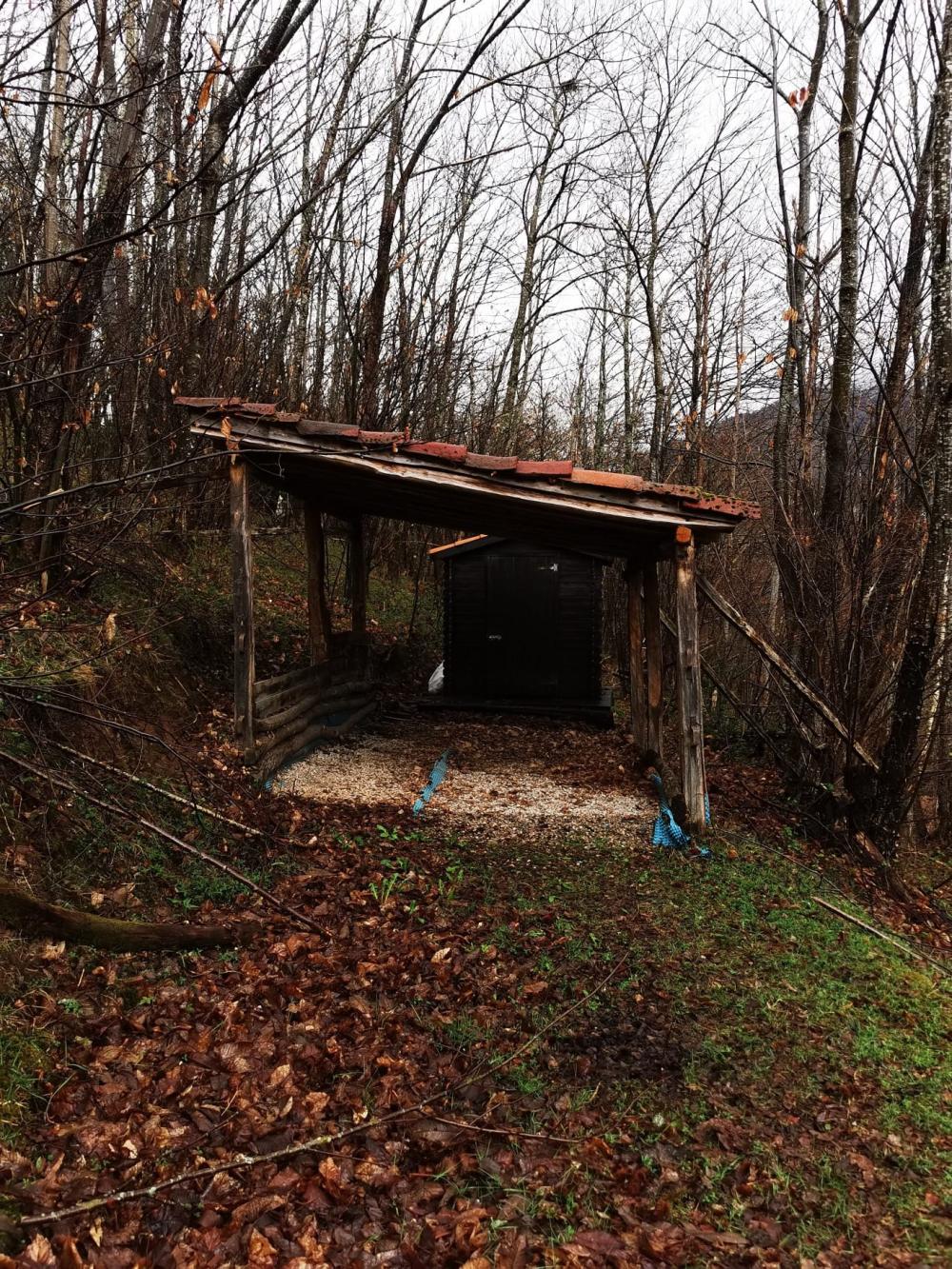  en venta finca rústica Campo De Caso Nalón 5