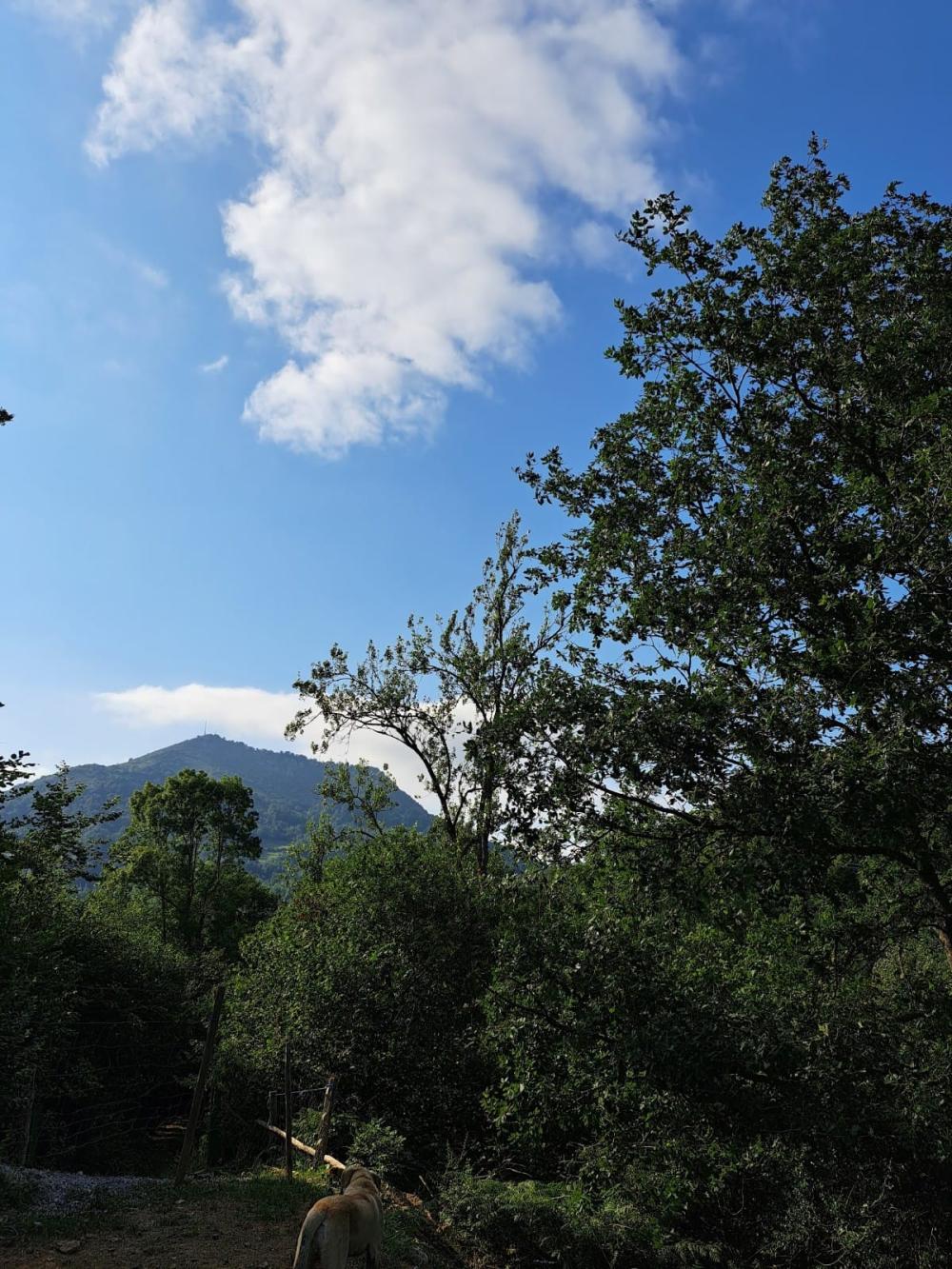  en venta finca rústica Campo De Caso Nalón 38
