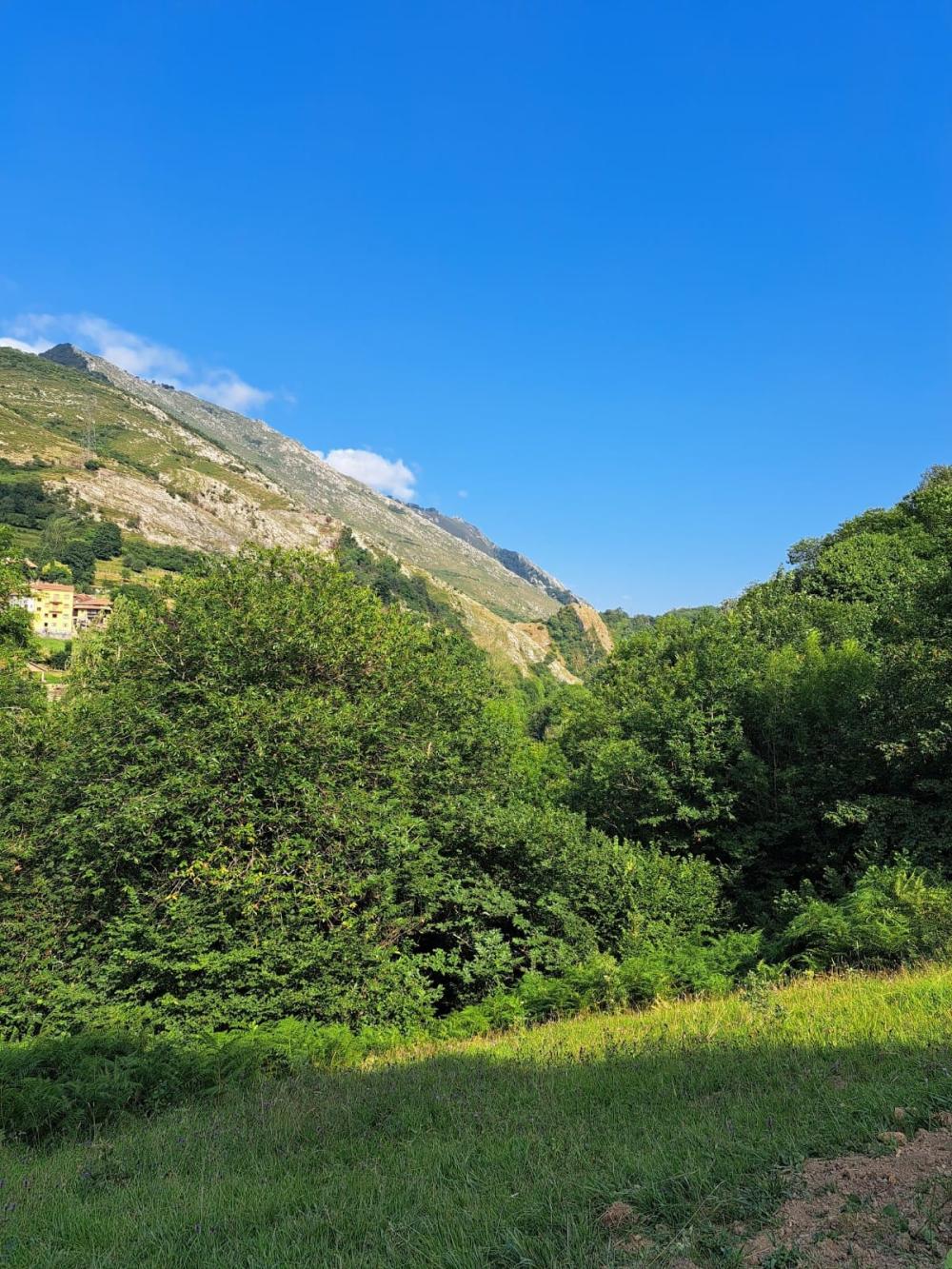  en venta finca rústica Campo De Caso Nalón 35
