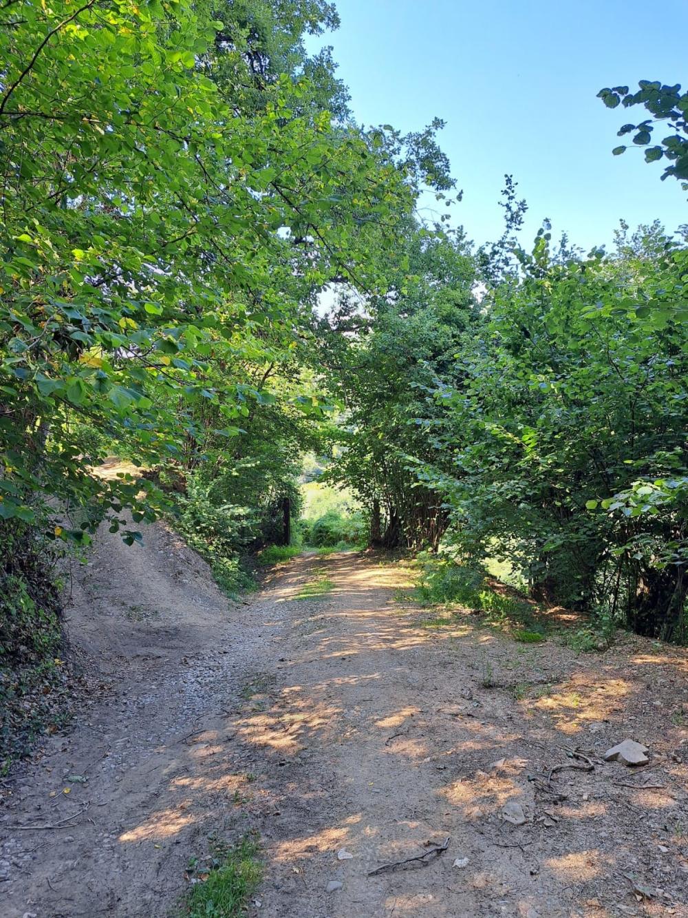  en venta finca rústica Campo De Caso Nalón 25