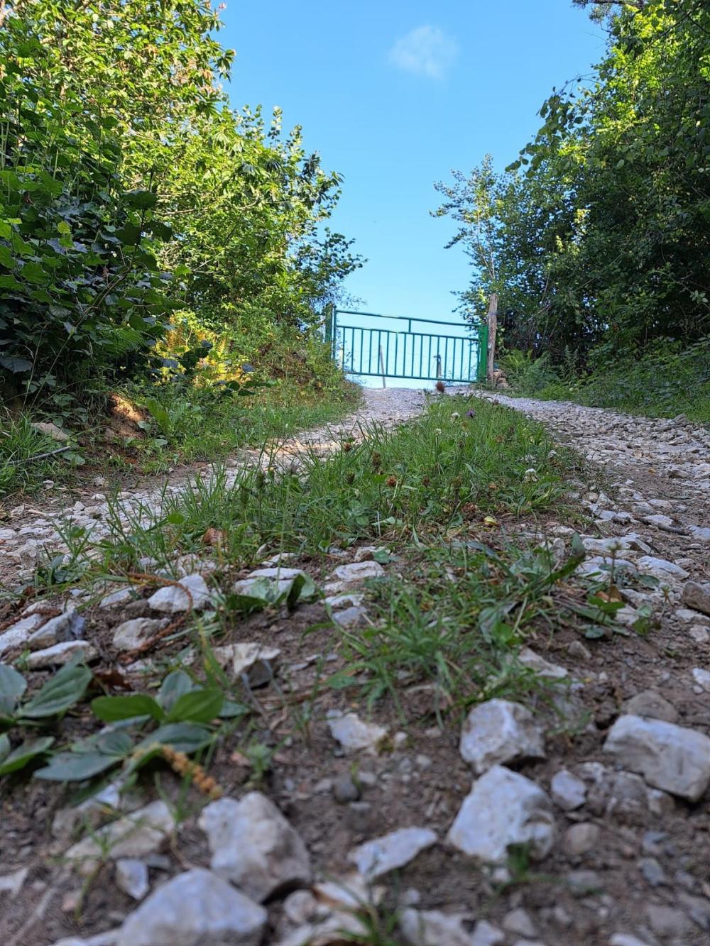  en venta finca rústica Campo De Caso Nalón 39