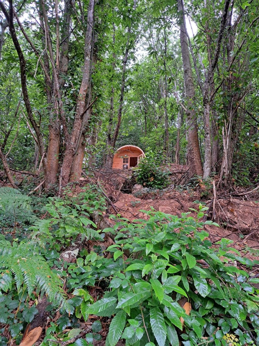  en venta finca rústica Campo De Caso Nalón 55