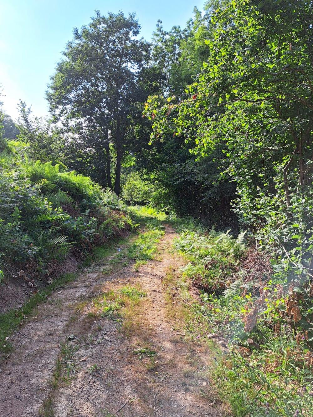  en venta finca rústica Campo De Caso Nalón 51