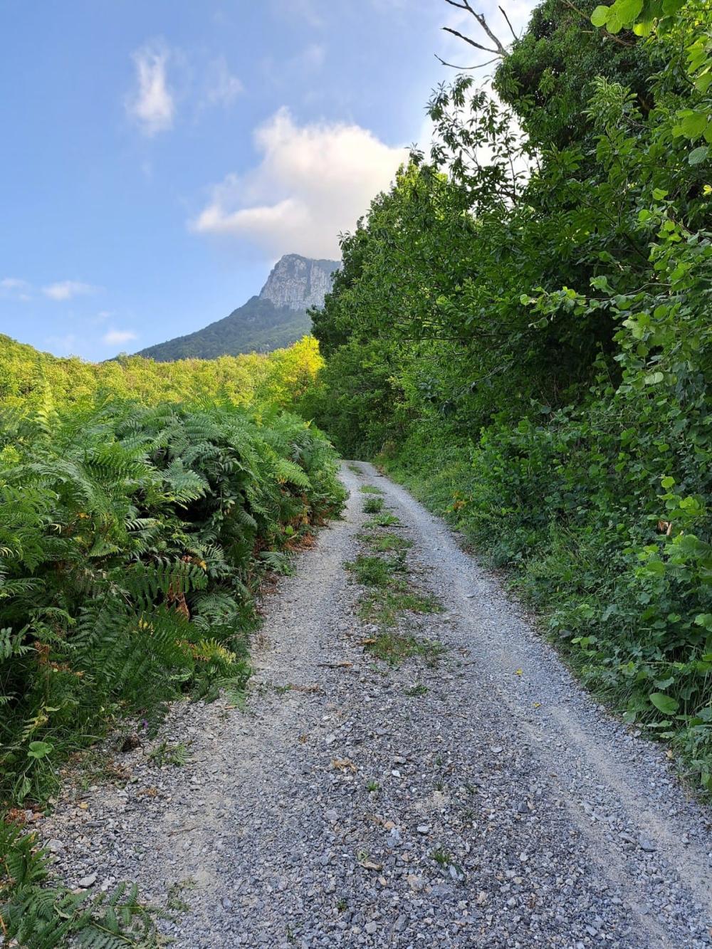  en venta finca rústica Campo De Caso Nalón 42