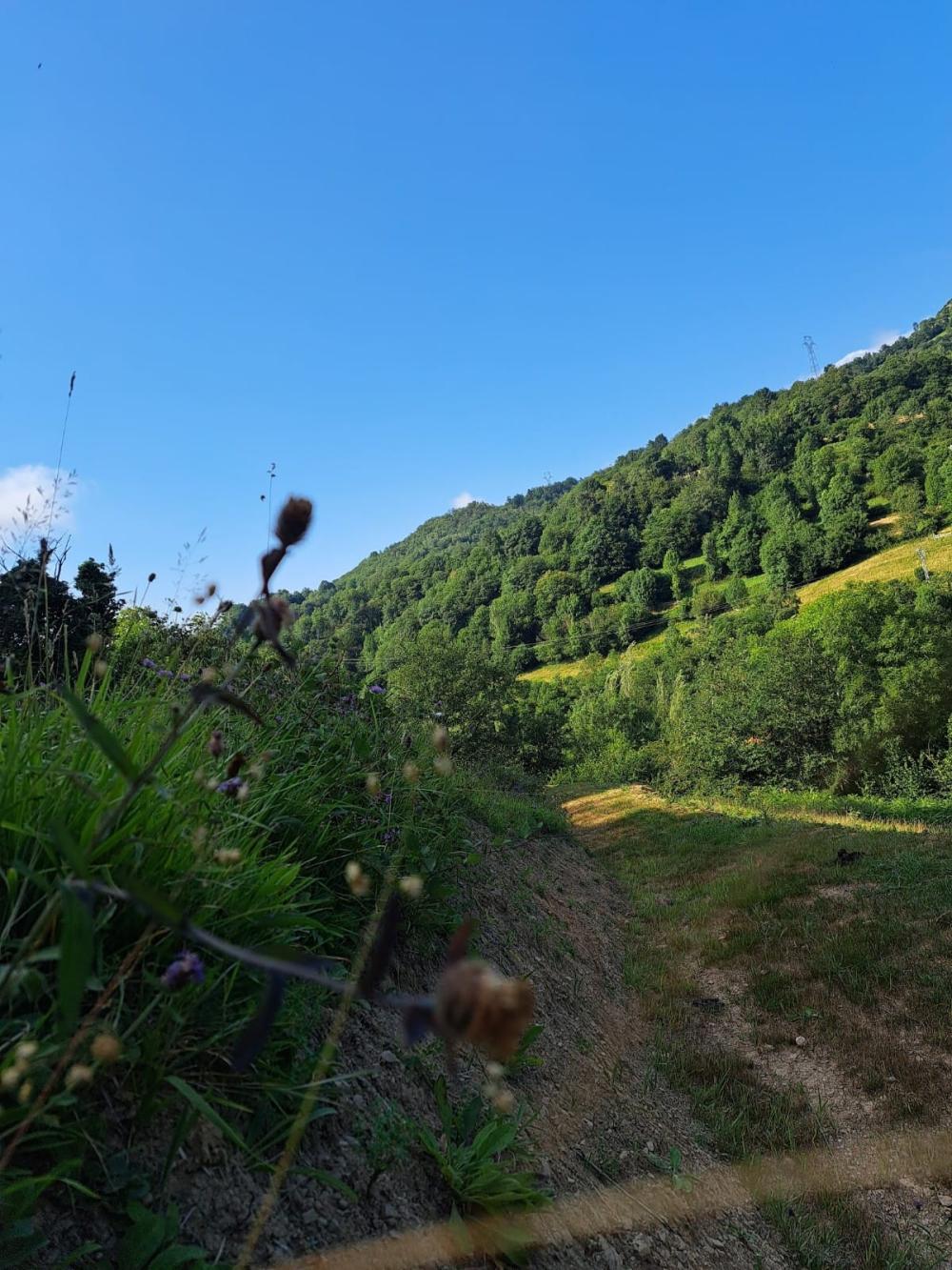  en venta finca rústica Campo De Caso Nalón 34
