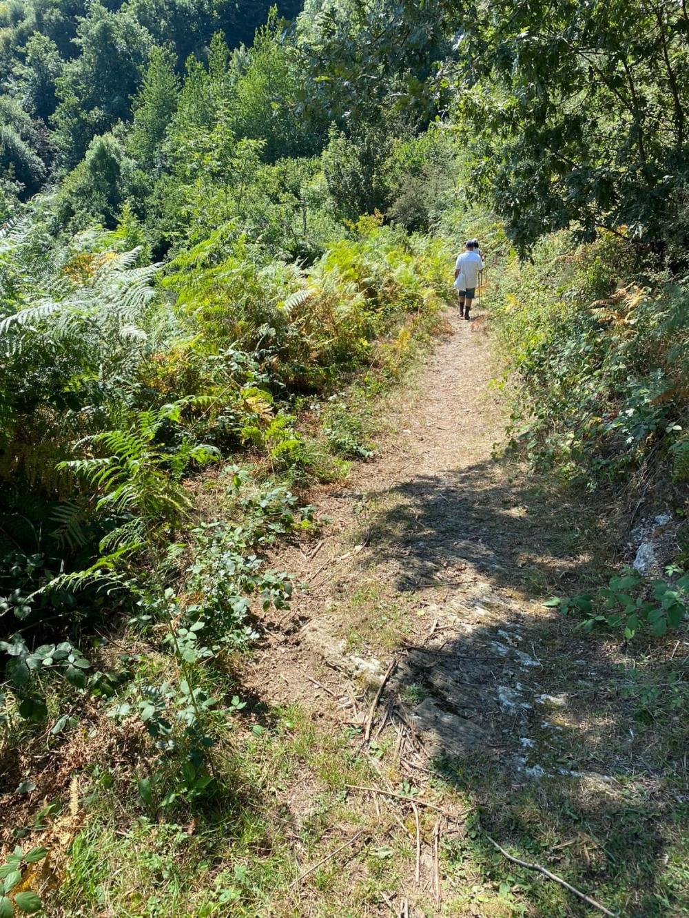  en venta finca rústica Campo De Caso Nalón 66