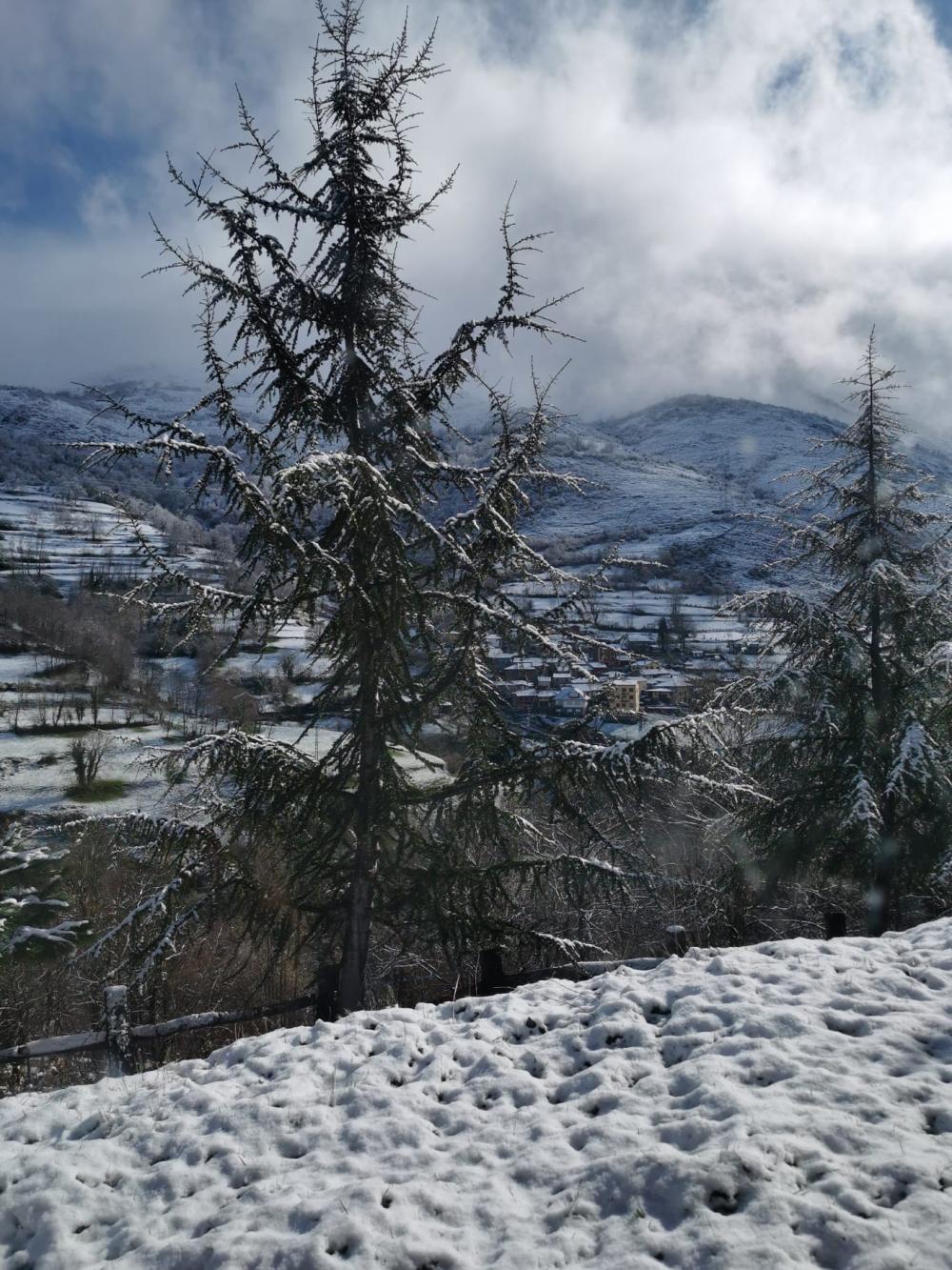  en venta finca rústica Campo De Caso Nalón 7