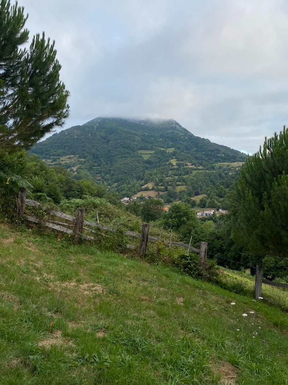  en venta finca rústica Campo De Caso Nalón 86