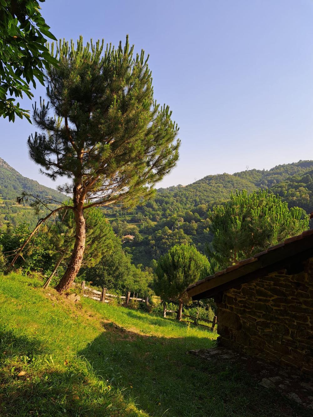  en venta finca rústica Campo De Caso Nalón 11