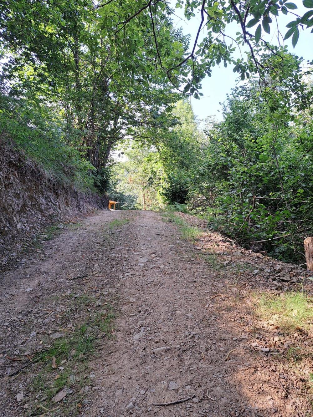  en venta finca rústica Campo De Caso Nalón 48