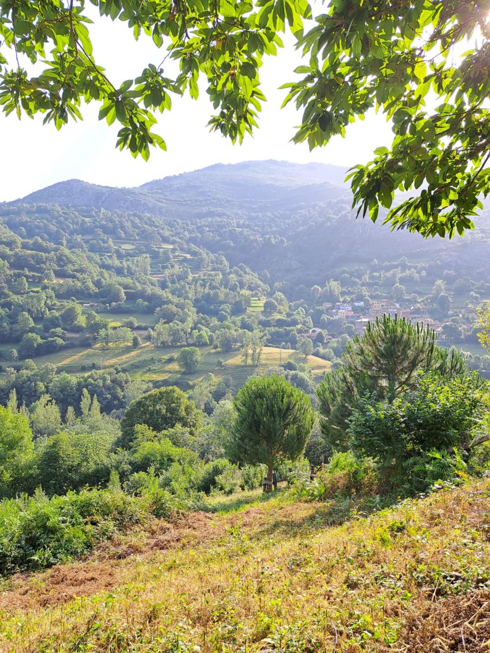  en venta finca rústica Campo De Caso Nalón 12