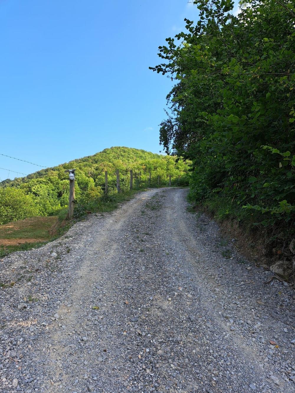  en venta finca rústica Campo De Caso Nalón 40