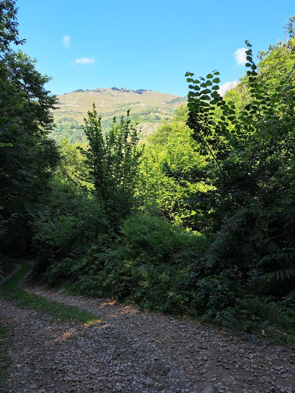  en venta finca rústica Campo De Caso Nalón 20