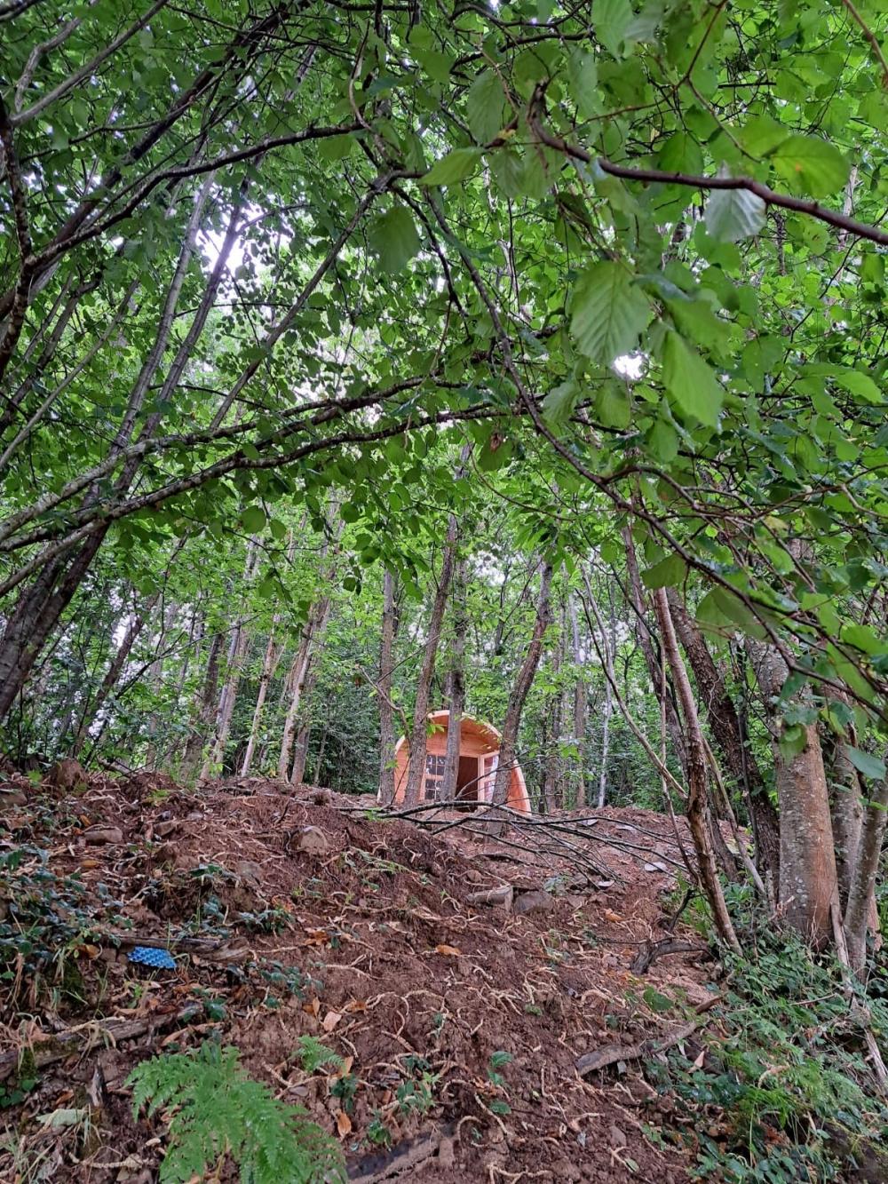  en venta finca rústica Campo De Caso Nalón 54