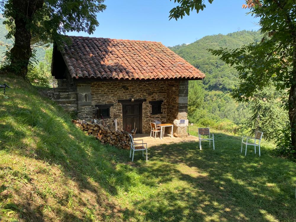  en venta finca rústica Campo De Caso Nalón 81