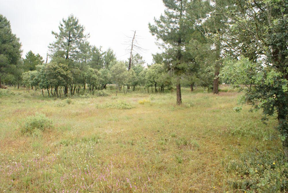  en venta terreno Marugán Campiña Segoviana 5