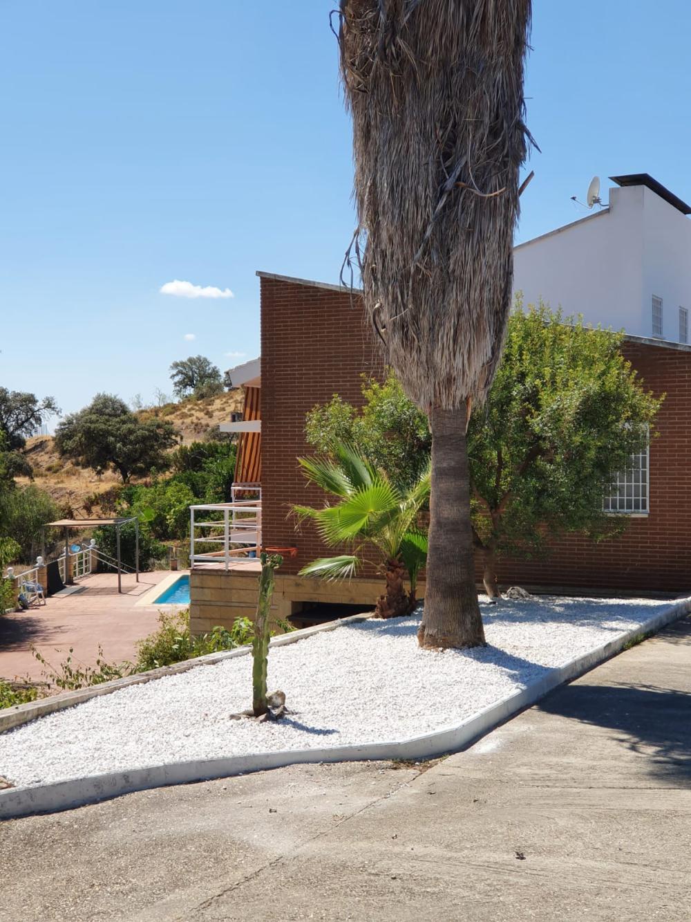  en venta finca rústica Alcolea Córdoba 6