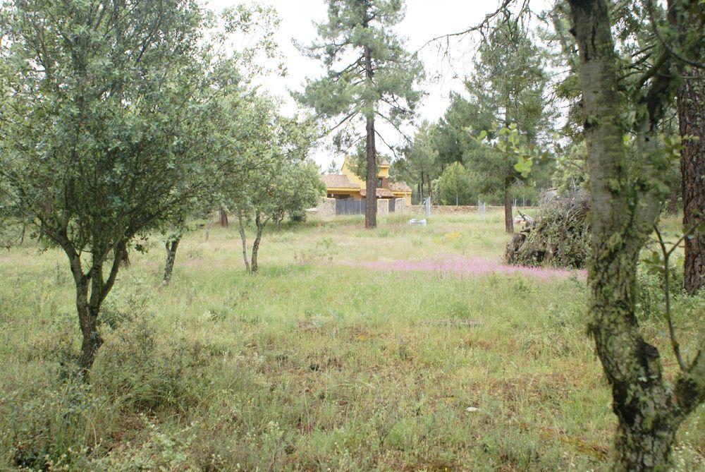  en venta terreno Marugán Campiña Segoviana 10