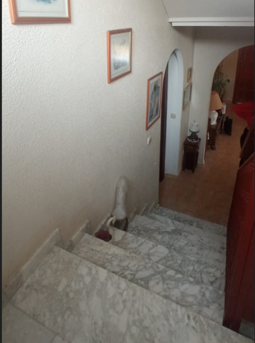  en venta chalet Calabardina Alto Guadalentín 61